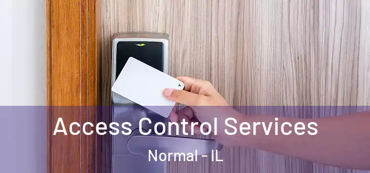  Access Control Services Normal - IL