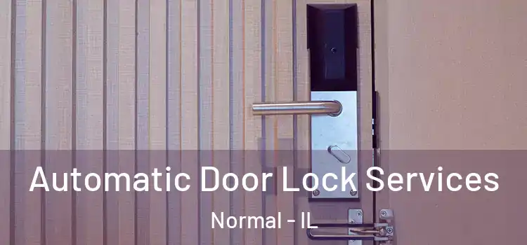  Automatic Door Lock Services Normal - IL