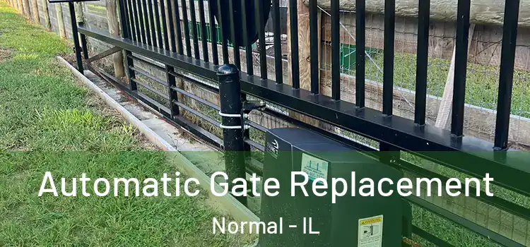  Automatic Gate Replacement Normal - IL