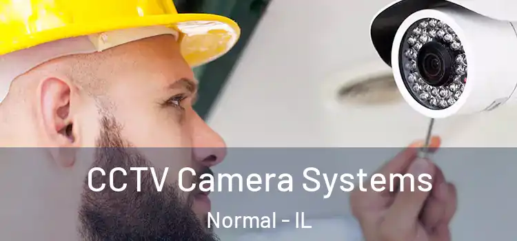  CCTV Camera Systems Normal - IL