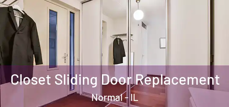  Closet Sliding Door Replacement Normal - IL