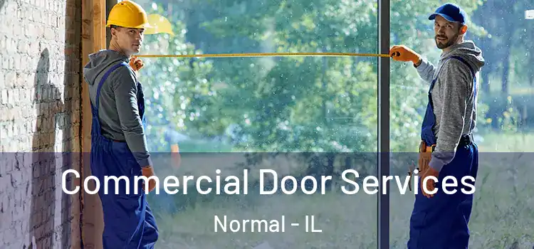  Commercial Door Services Normal - IL