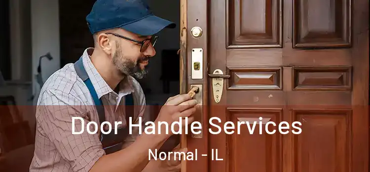  Door Handle Services Normal - IL