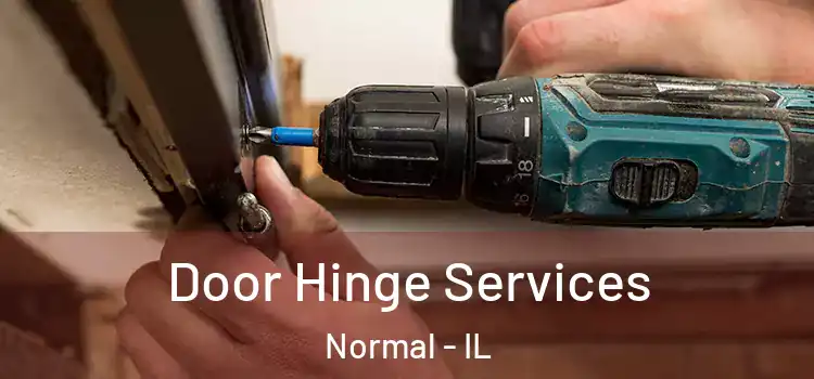  Door Hinge Services Normal - IL