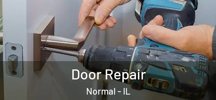  Door Repair Normal - IL
