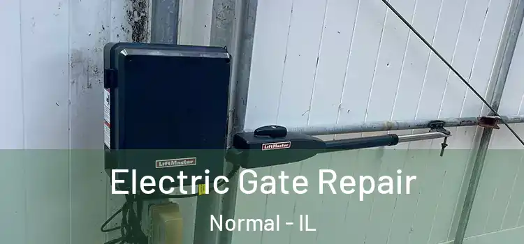 Electric Gate Repair Normal - IL