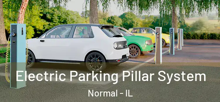  Electric Parking Pillar System Normal - IL