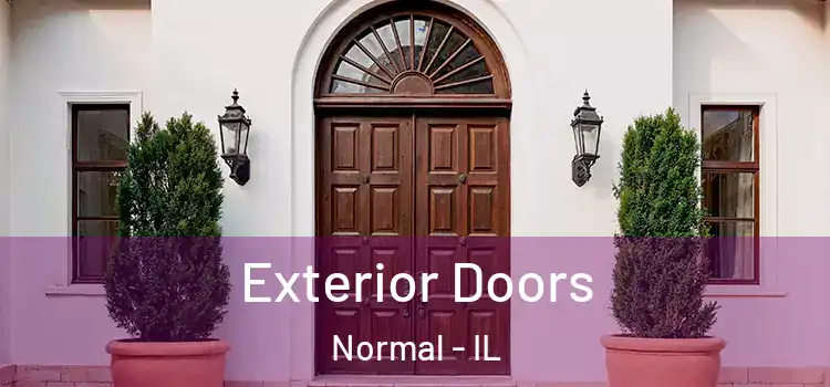  Exterior Doors Normal - IL
