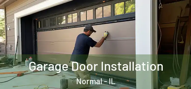  Garage Door Installation Normal - IL