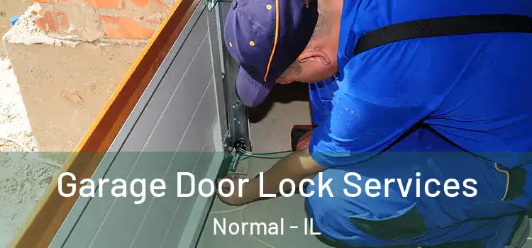 Garage Door Lock Services Normal - IL