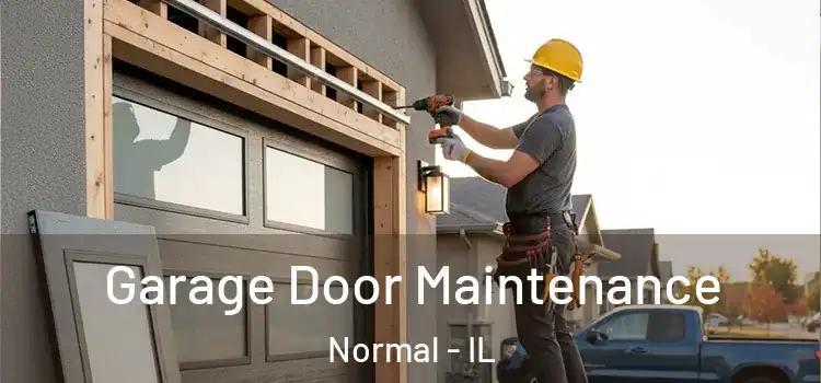 Garage Door Maintenance Normal - IL