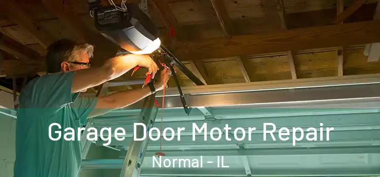  Garage Door Motor Repair Normal - IL