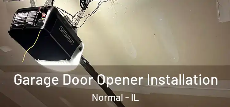  Garage Door Opener Installation Normal - IL