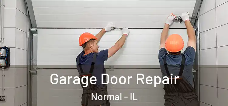  Garage Door Repair Normal - IL