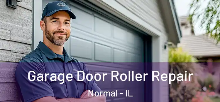  Garage Door Roller Repair Normal - IL