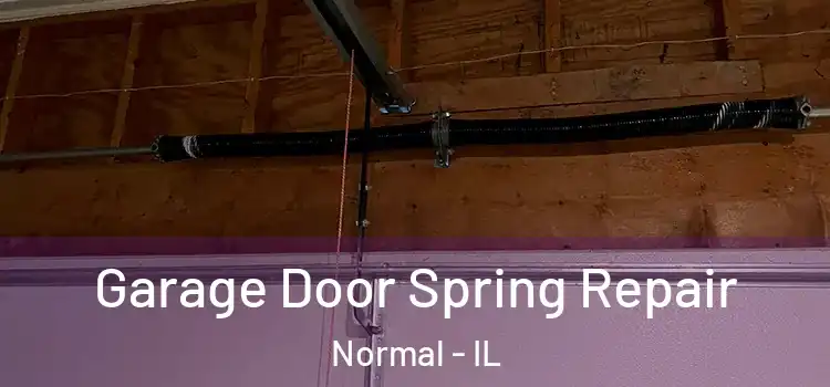  Garage Door Spring Repair Normal - IL