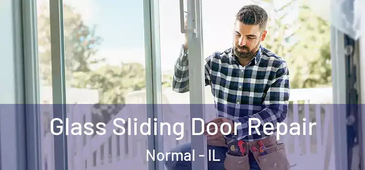 Glass Sliding Door Repair Normal - IL