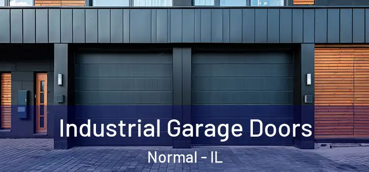  Industrial Garage Doors Normal - IL