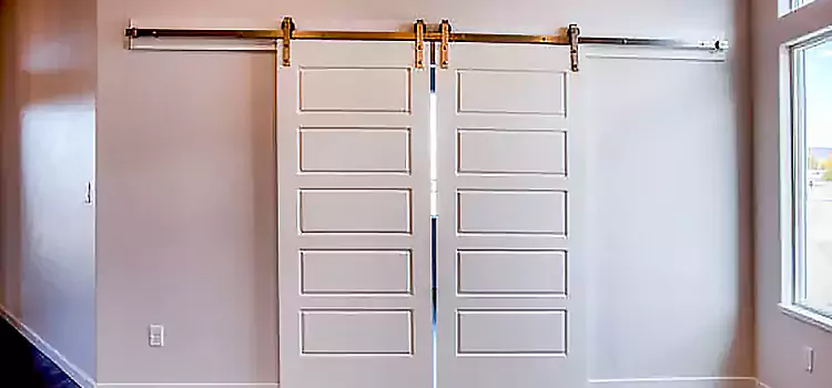 Glass Barn Door with Installation Hardware Kit Normal