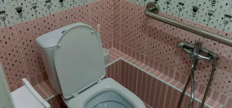 Meeting Diverse Needs With Accessible Restroom Solutions in Normal, IL