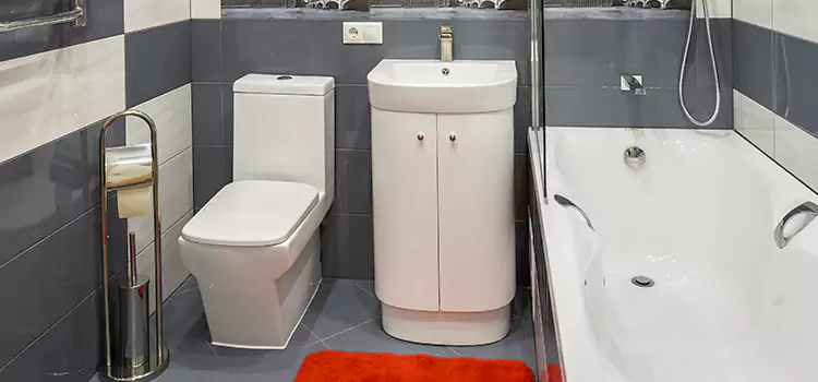 Hansgrohe Shaving Mirror Normal