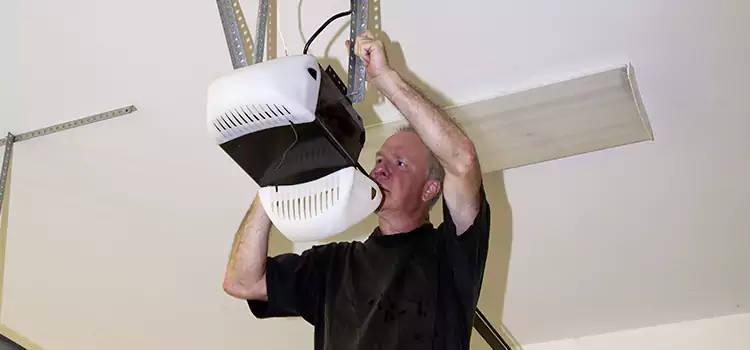Garage Door Opener Service Normal