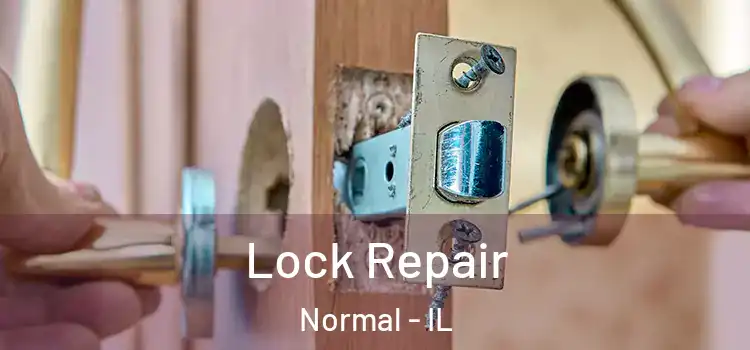  Lock Repair Normal - IL