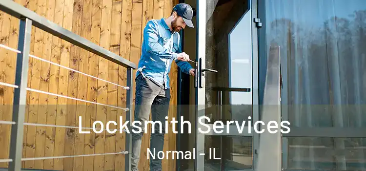  Locksmith Services Normal - IL