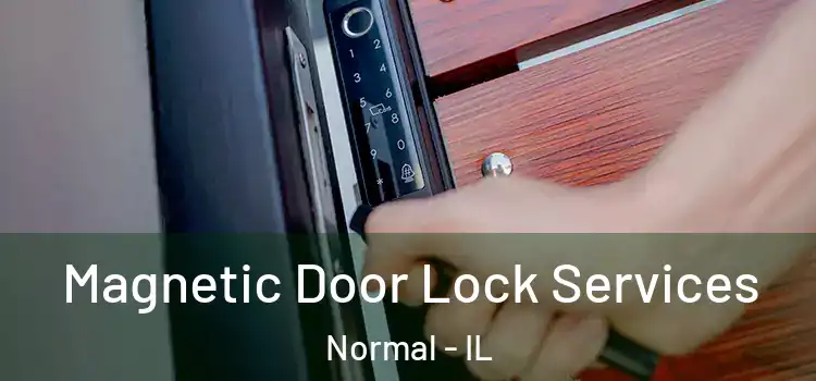 Magnetic Door Lock Services Normal - IL