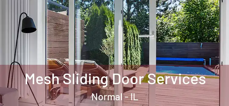 Mesh Sliding Door Services Normal - IL