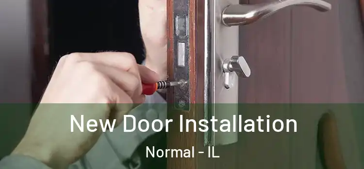  New Door Installation Normal - IL