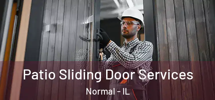  Patio Sliding Door Services Normal - IL