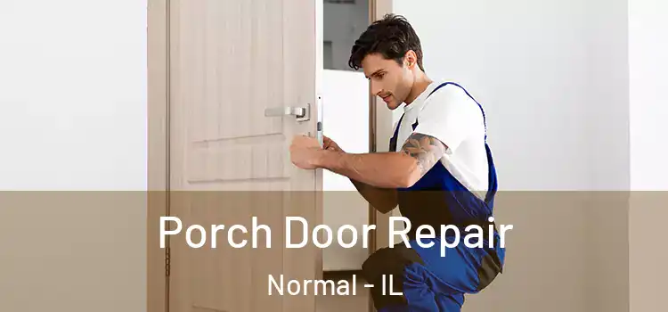  Porch Door Repair Normal - IL