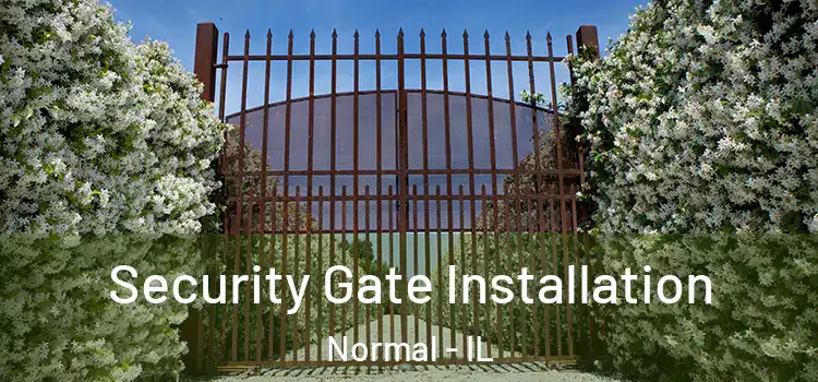  Security Gate Installation Normal - IL
