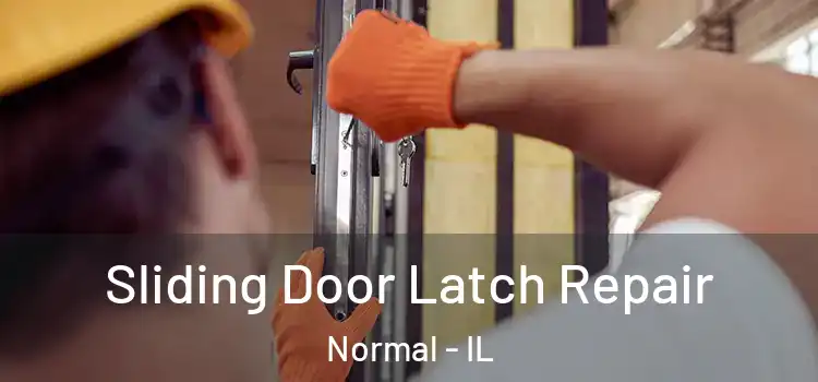  Sliding Door Latch Repair Normal - IL