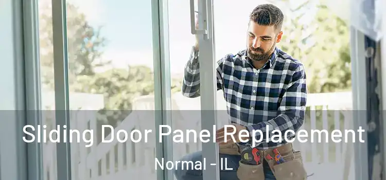  Sliding Door Panel Replacement Normal - IL