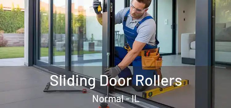  Sliding Door Rollers Normal - IL