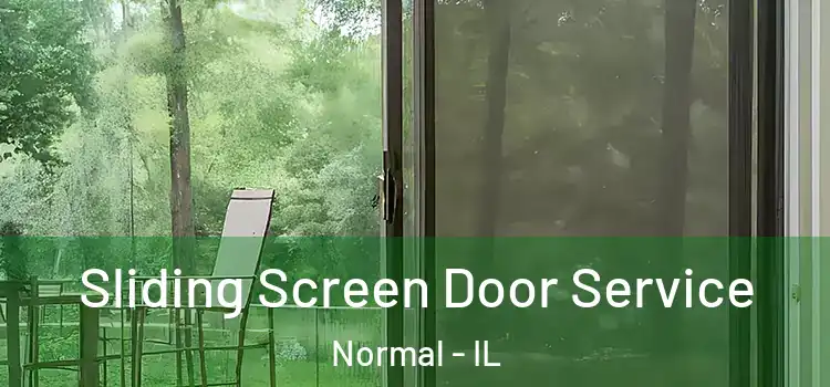 Sliding Screen Door Service Normal - IL