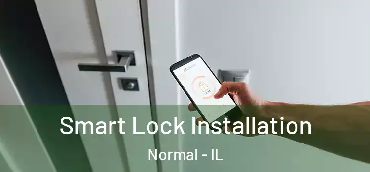  Smart Lock Installation Normal - IL