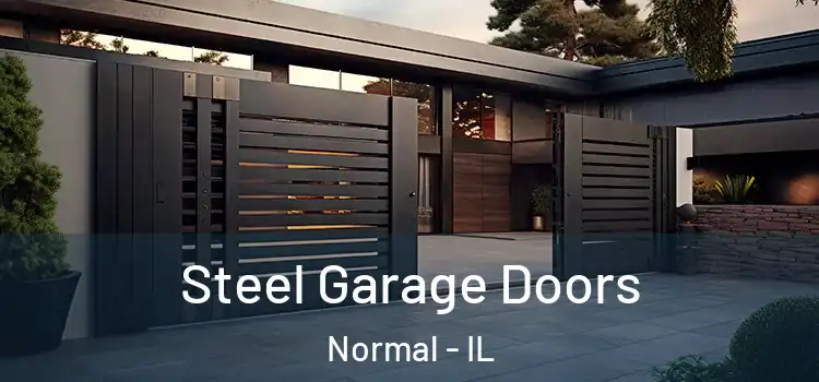 Steel Garage Doors Normal - IL