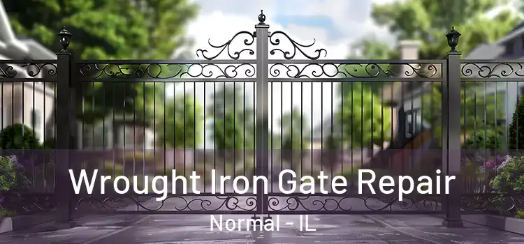 Wrought Iron Gate Repair Normal - IL